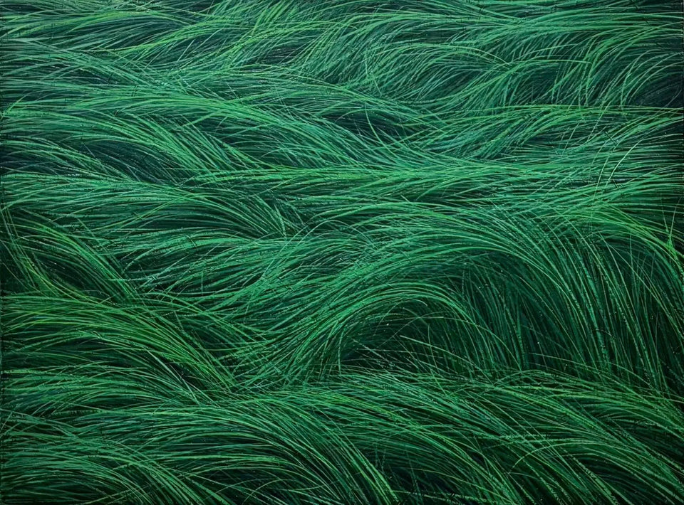 Wind