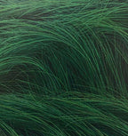 Wind