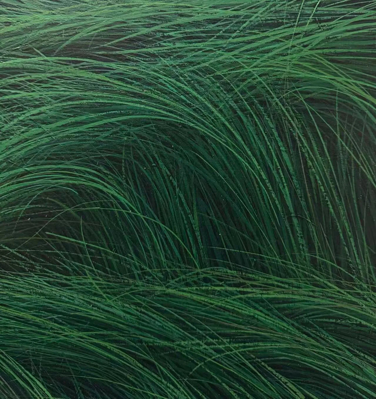 Wind