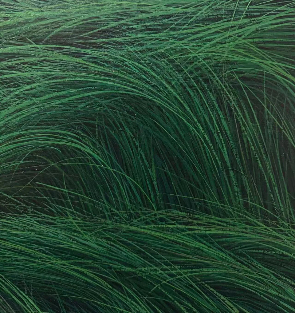 Wind