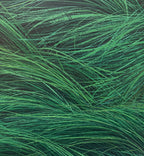 Wind