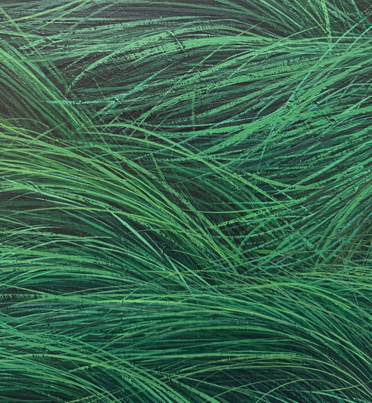 Wind