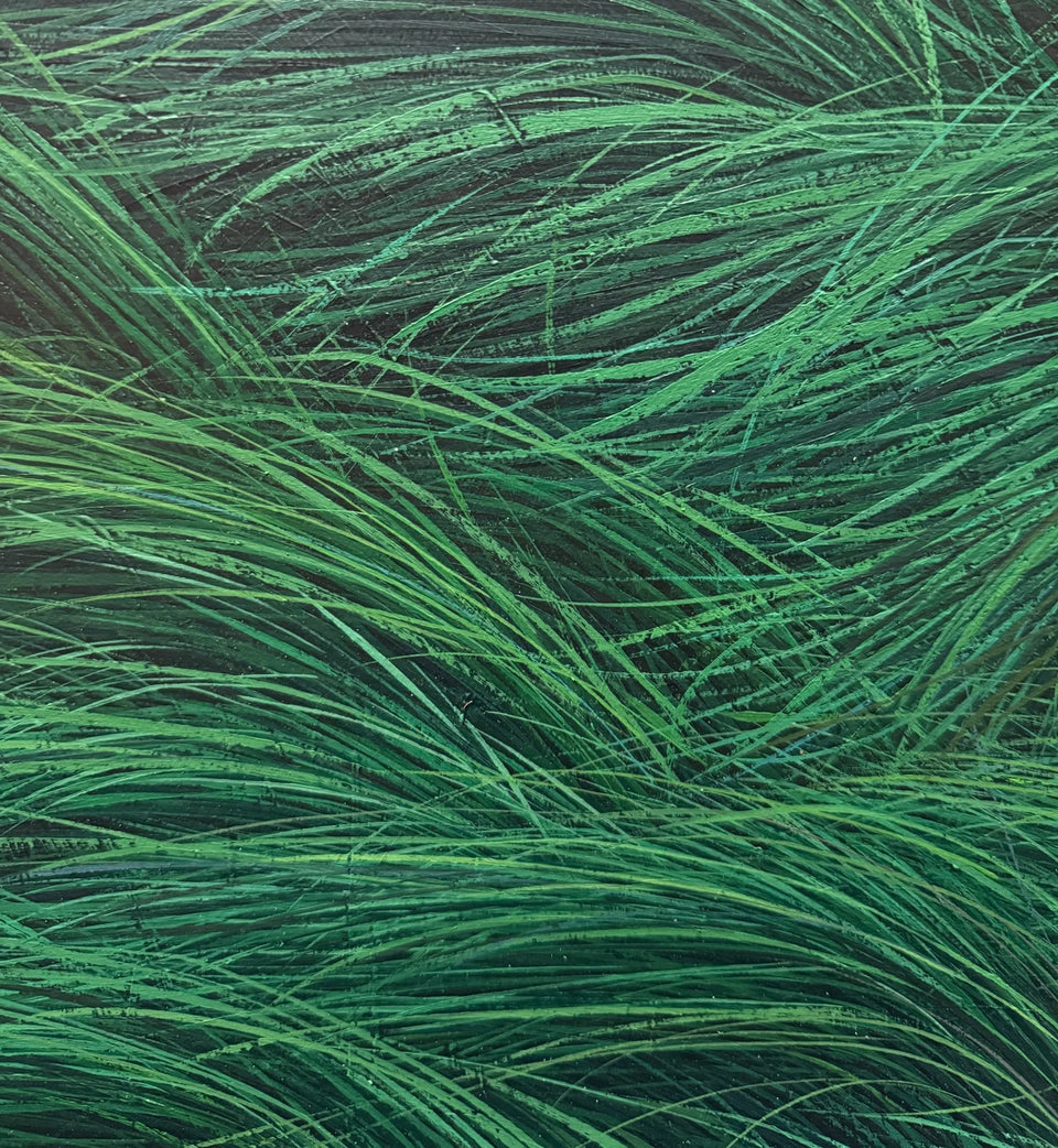 Wind