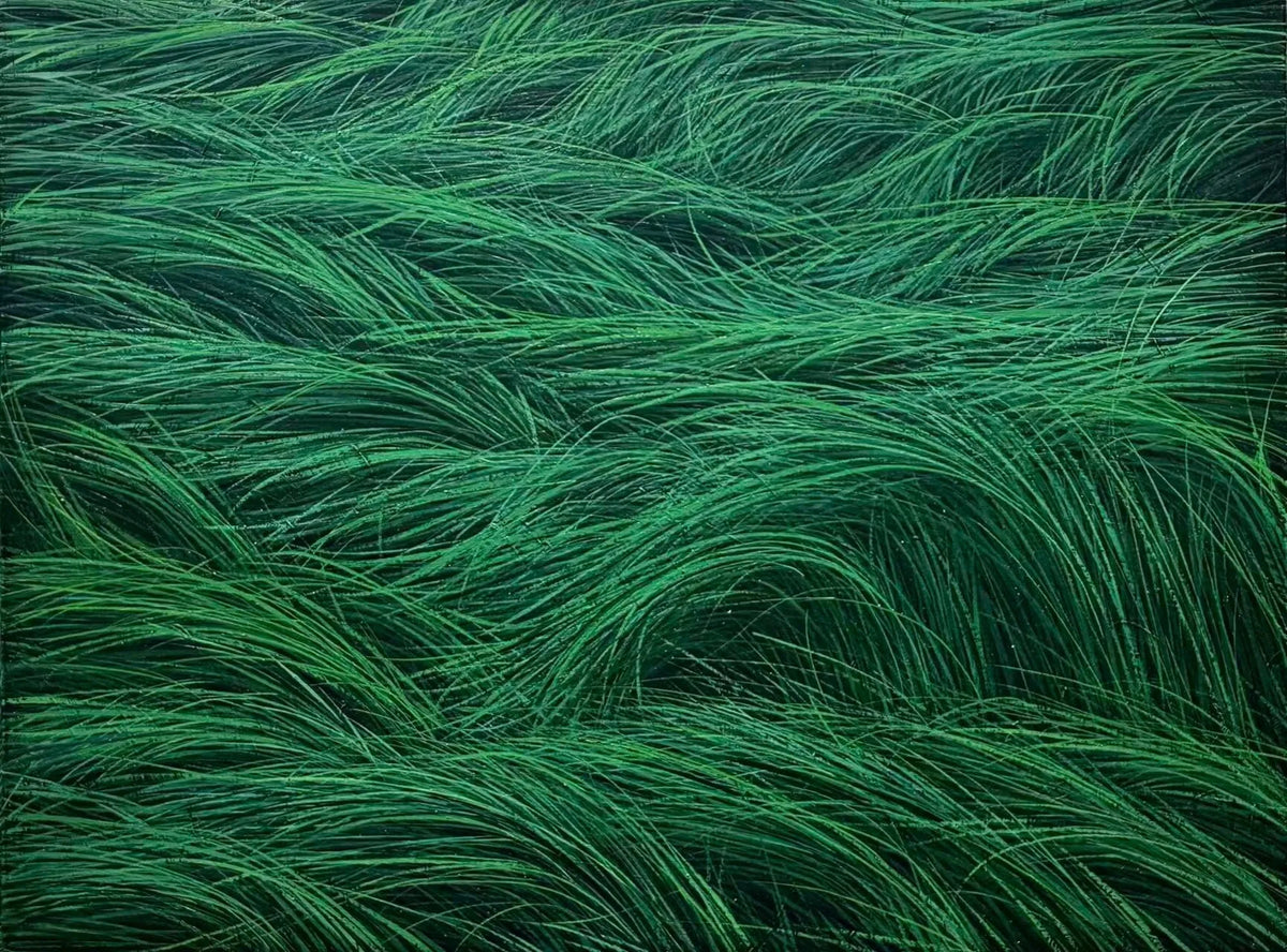 Wind
