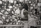 Queen of the Court