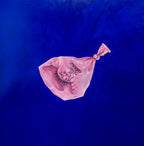 HIGH ON BELIEVING (2026) by Elina Tailor