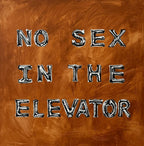 NO SEX IN THE ELEVATOR — Elina Tailor, 2026