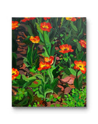 Rembrandt Tulips (2024) by Haotian 郝恬 — artwork view 4