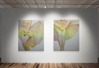 Petal Skin (2026) by Piero Tianli 赵田黎 — artwork view 2