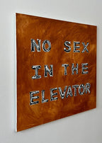NO SEX IN THE ELEVATOR — Elina Tailor, 2026 — image 9