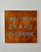 NO SEX IN THE ELEVATOR — Elina Tailor, 2026 — image 8
