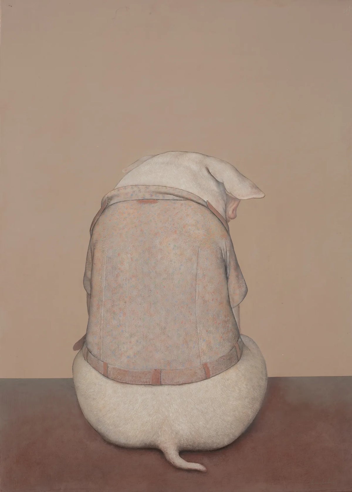 Soft Contemplator