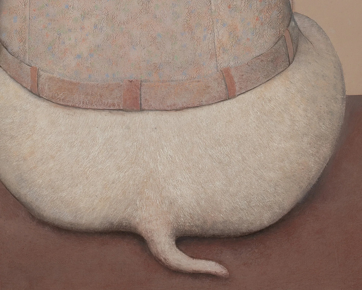 Soft Contemplator