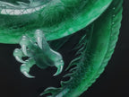 Ouroboros (2023) by ZI PENG 訾鹏; artwork view 5