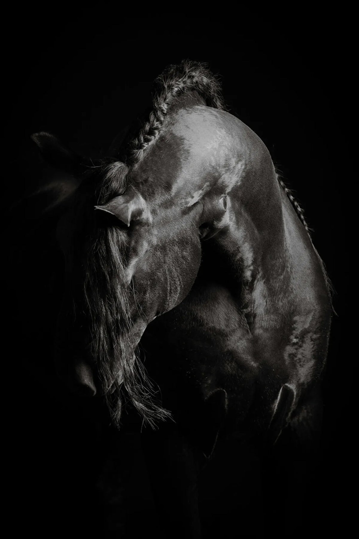 Grace In Shadow I