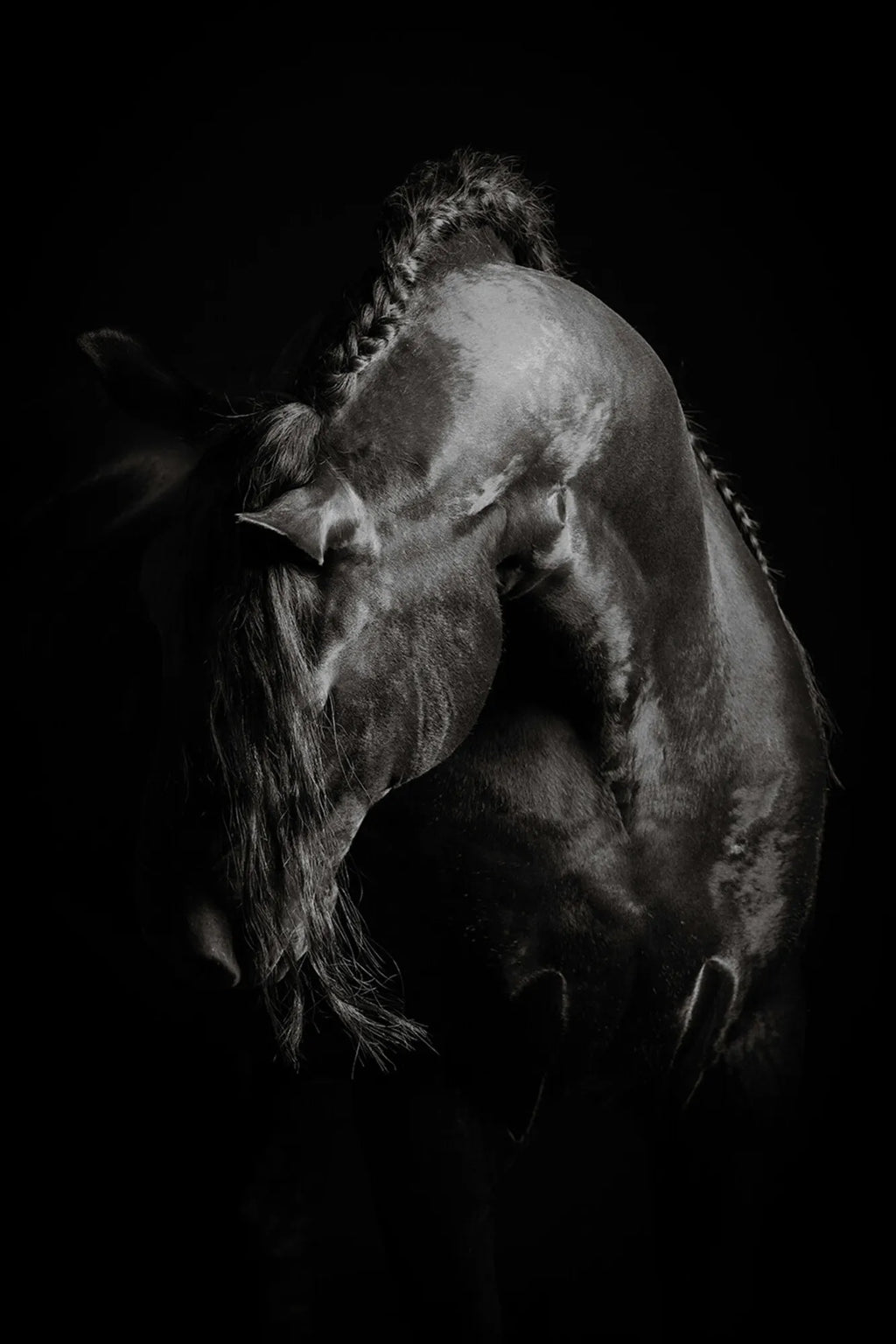 Grace In Shadow I