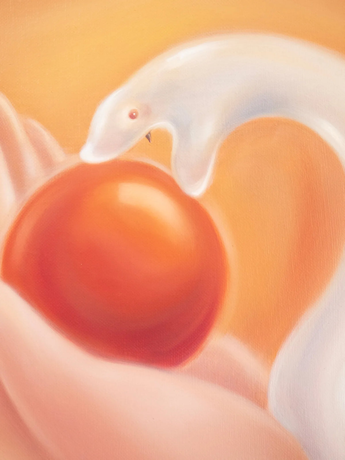 Enchanted Dream