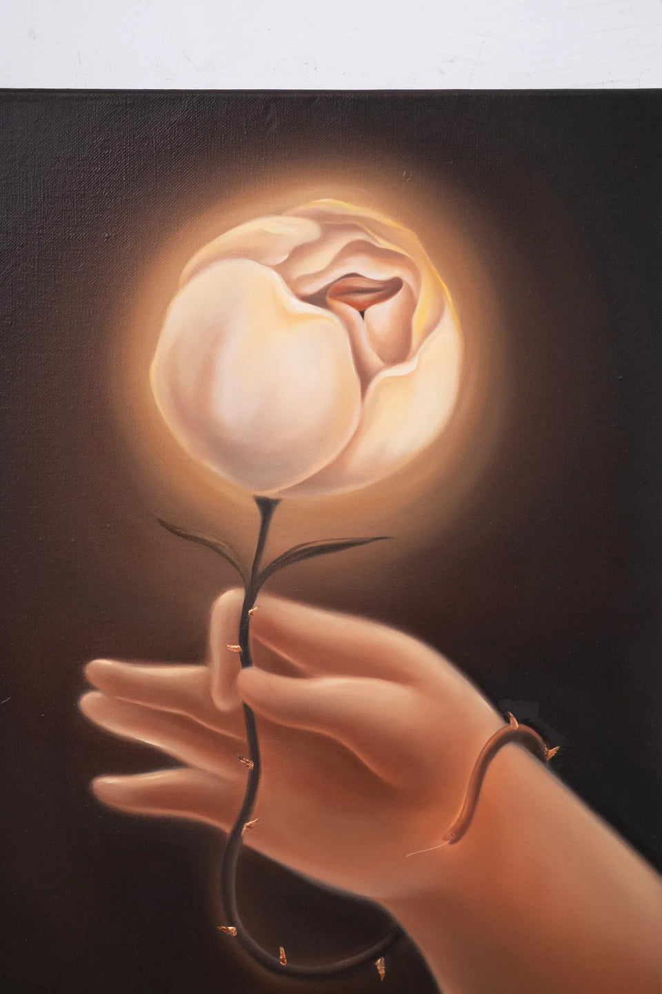 Hermes’s Rose