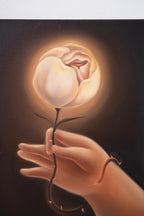 Hermes’s Rose