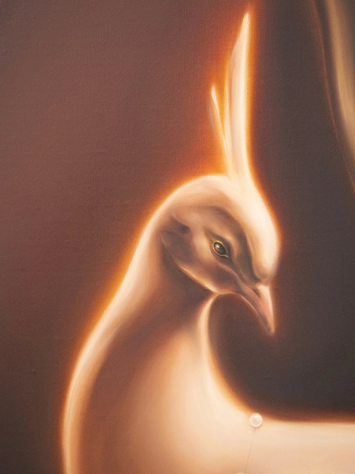 Juno’s Bird