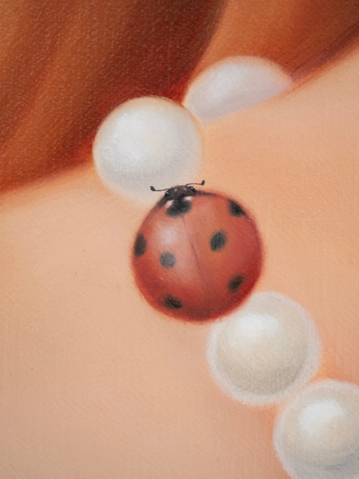 Ladybird