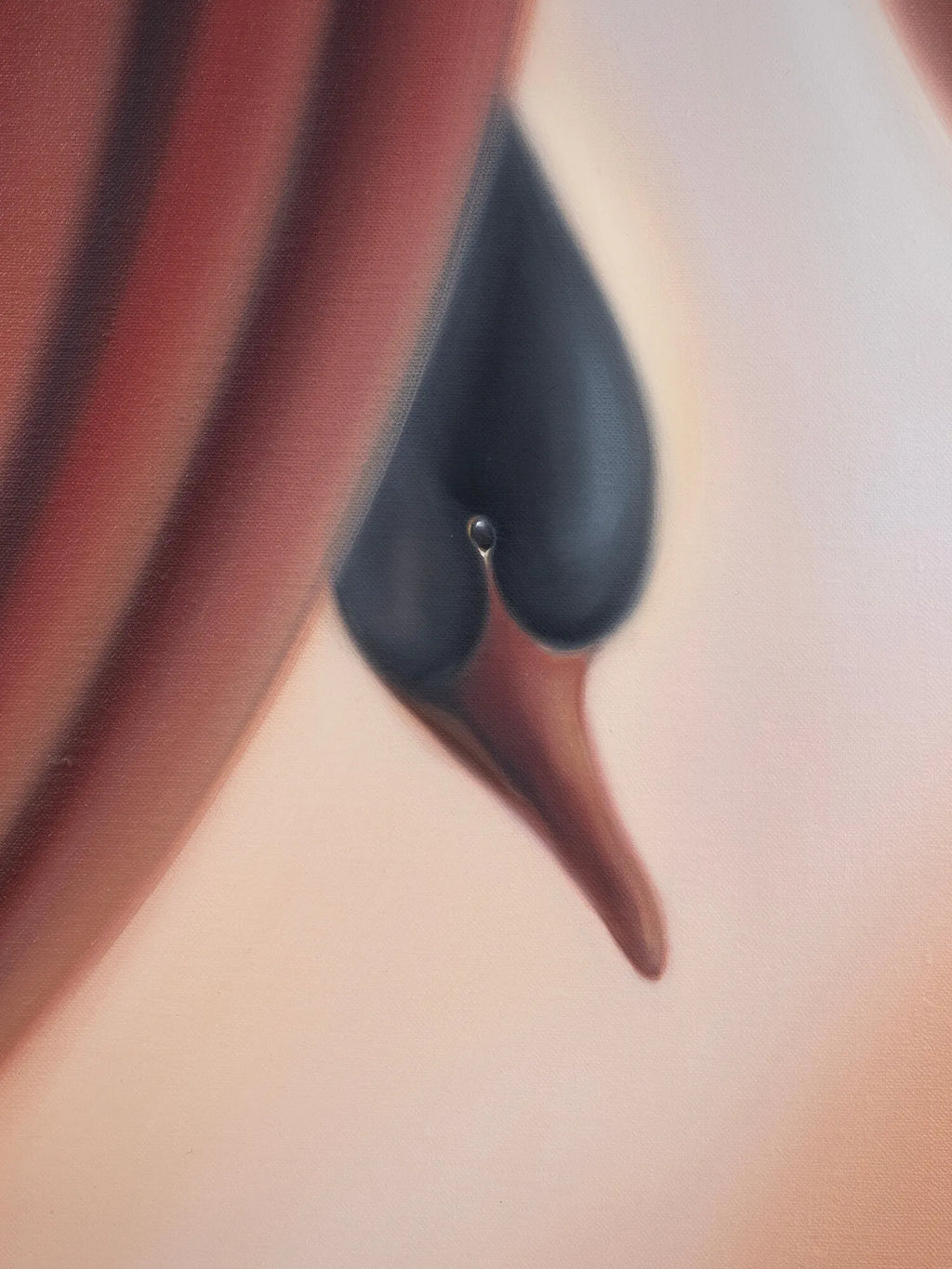 Leda