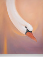 Swan I