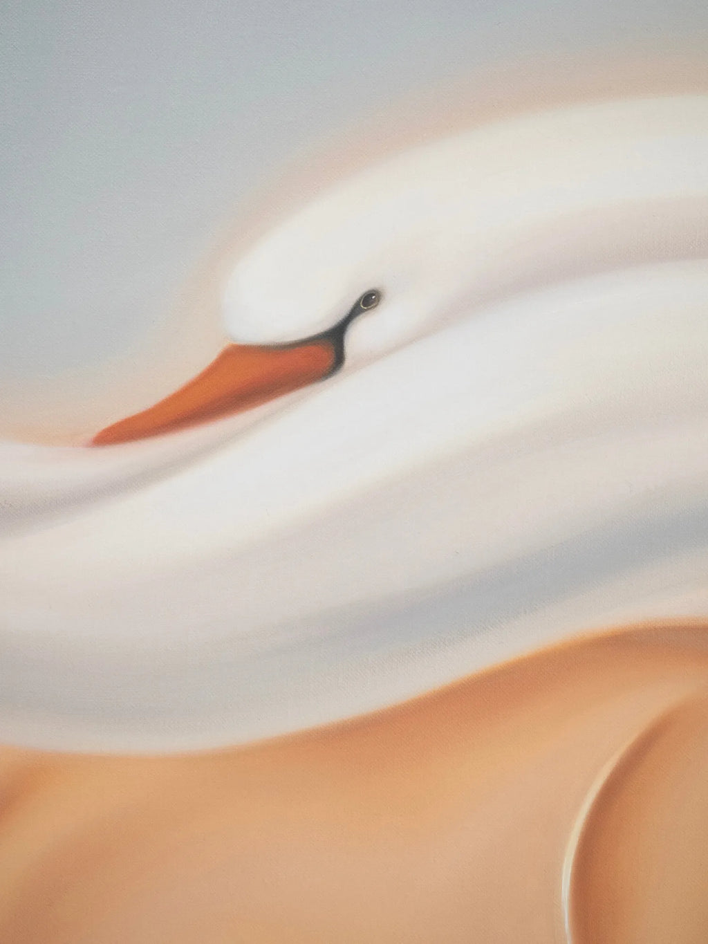 Swan II
