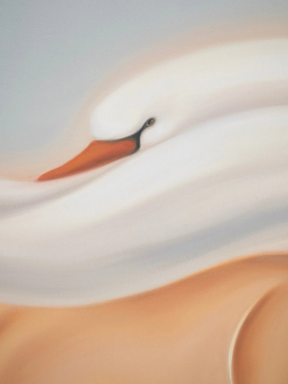 Swan II