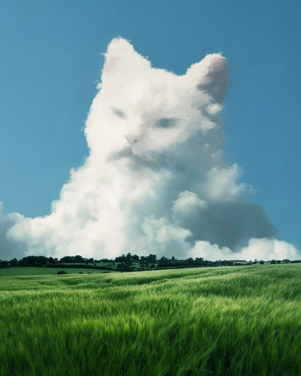 Good Meowing