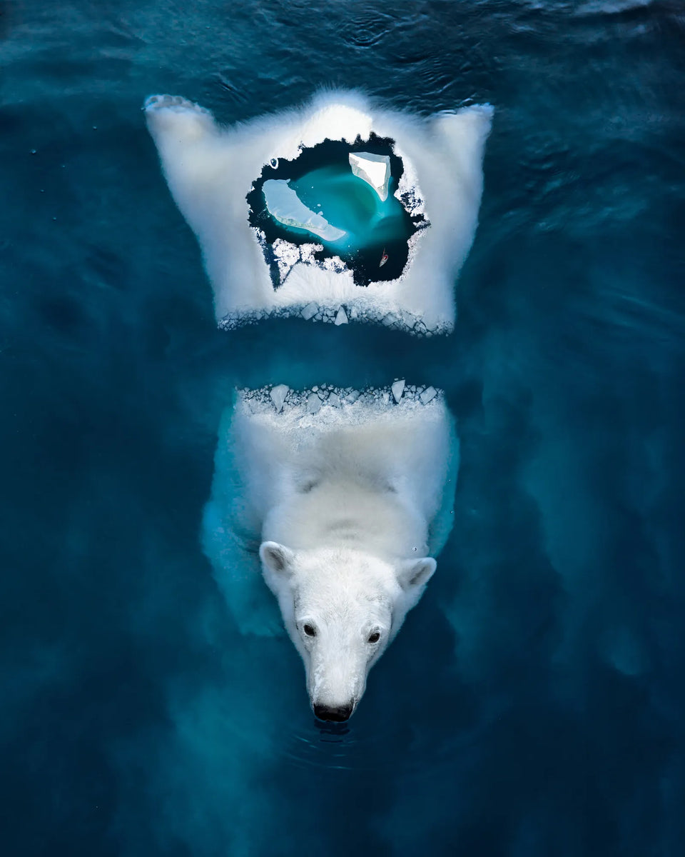 Melting Away