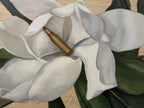 A Wound Disguised as a Bloom