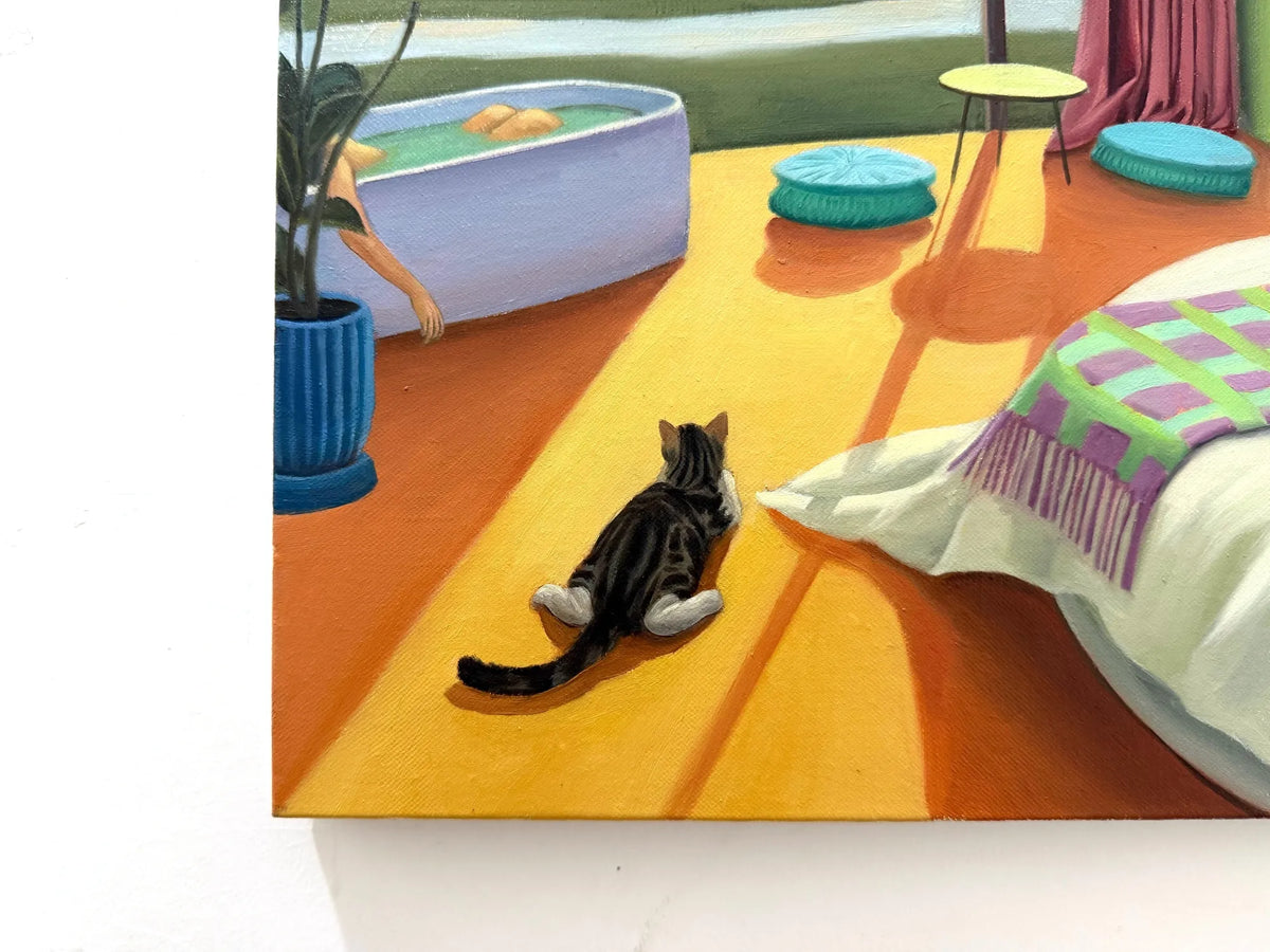I'm a Collector's Cat