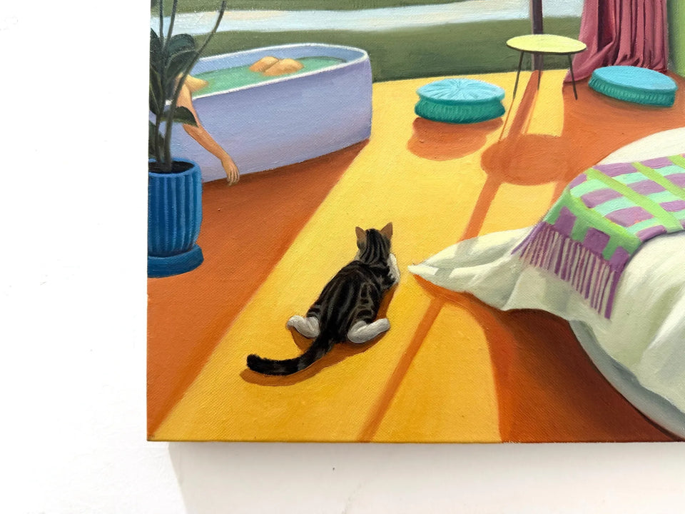 I'm a Collector's Cat