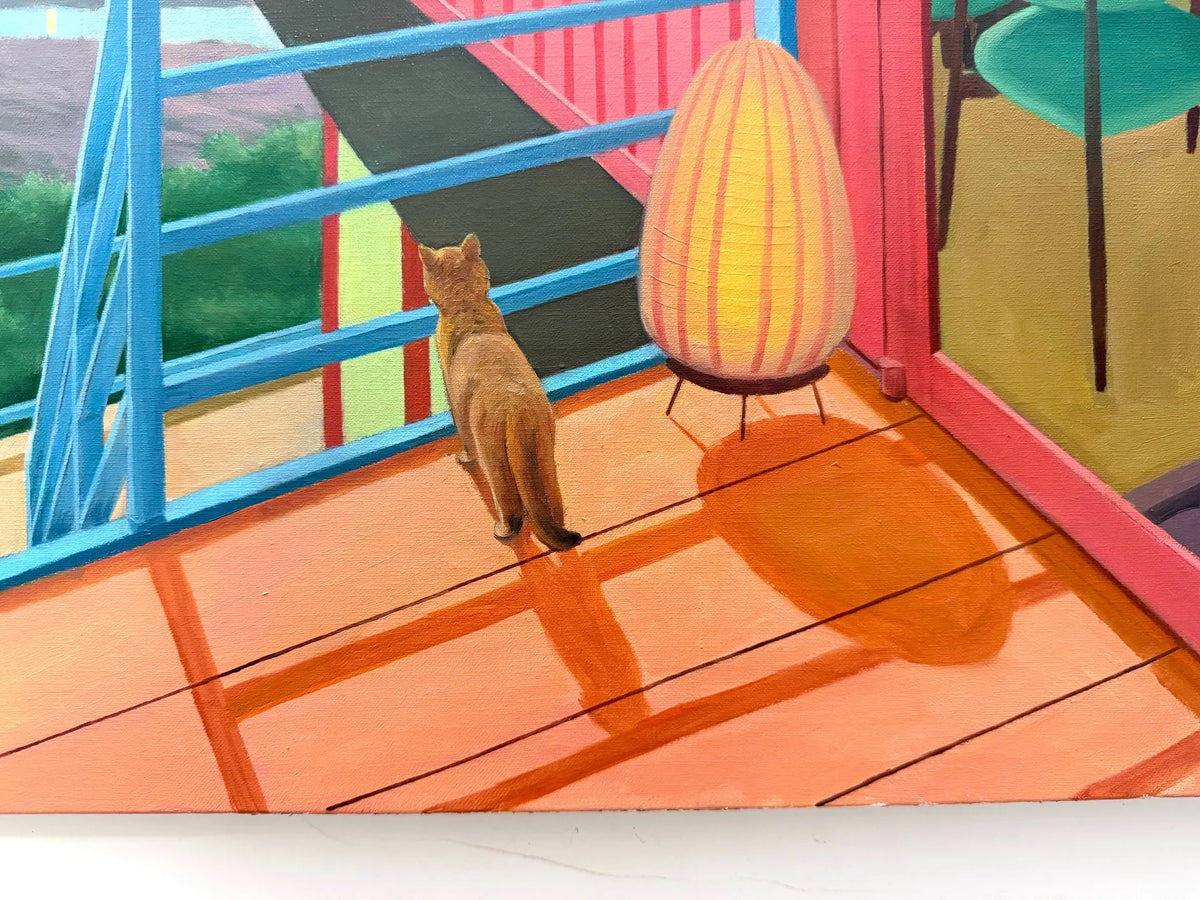 I'm a Collector's Cat V