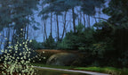 Moonlight