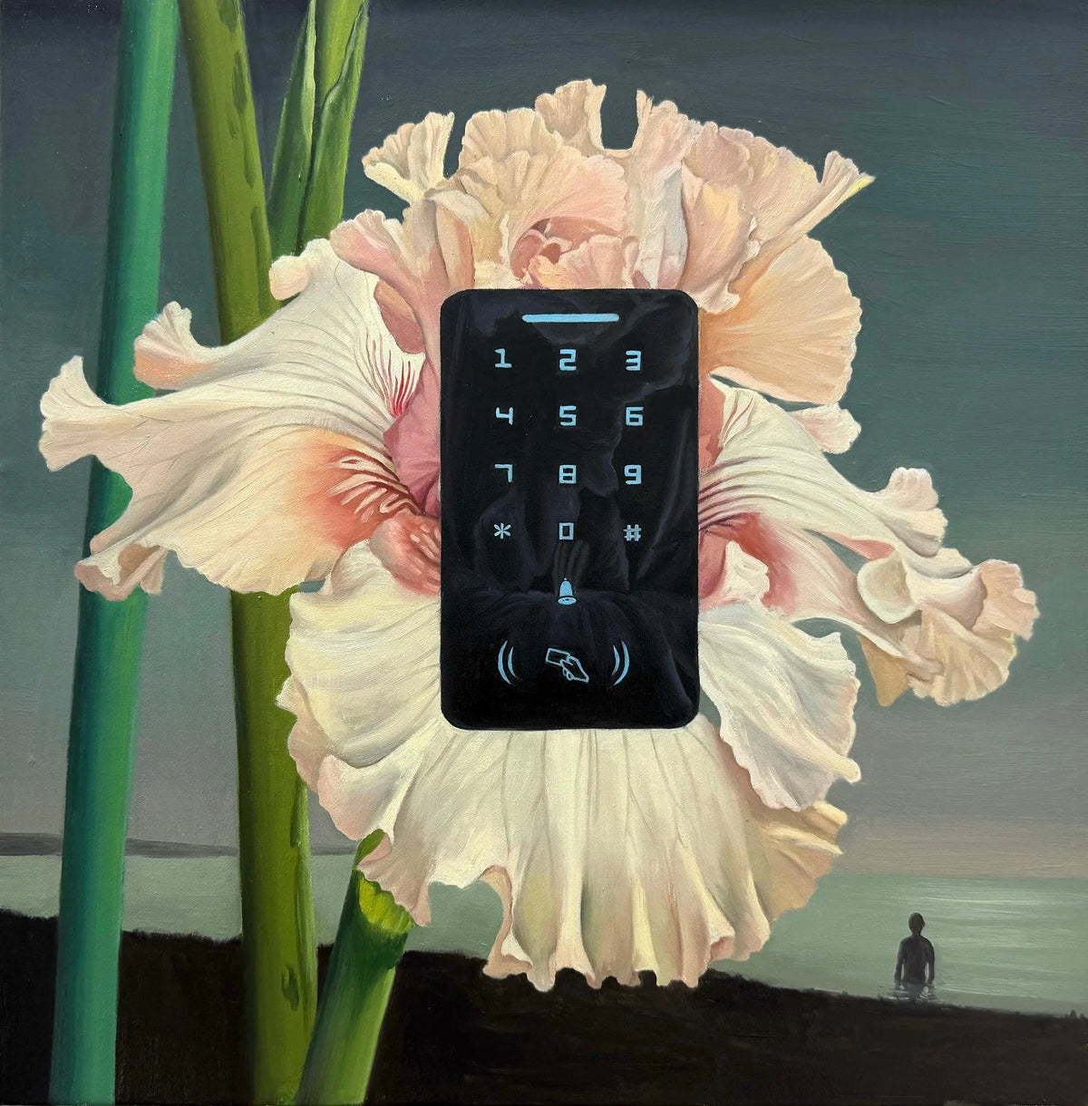 Password