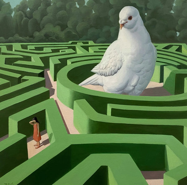 The Maze to Peace