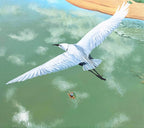 Under Your Wings
