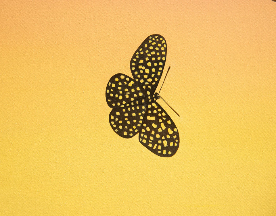 Butterflies at Sunset