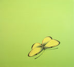 Circle of Life