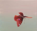 Dive