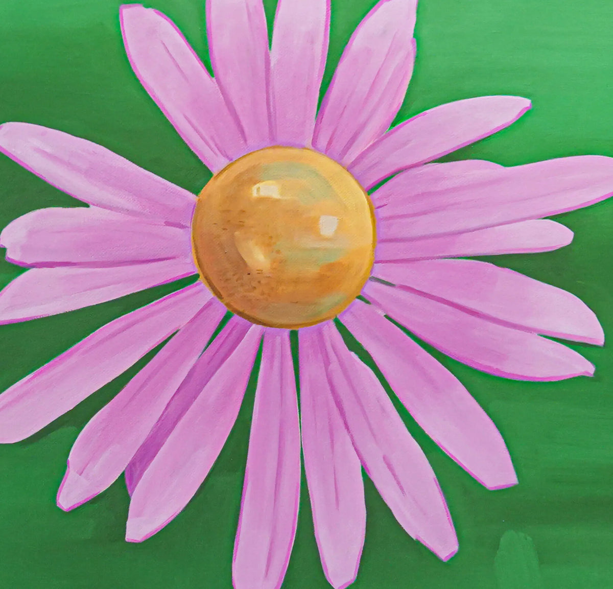 Echinacea