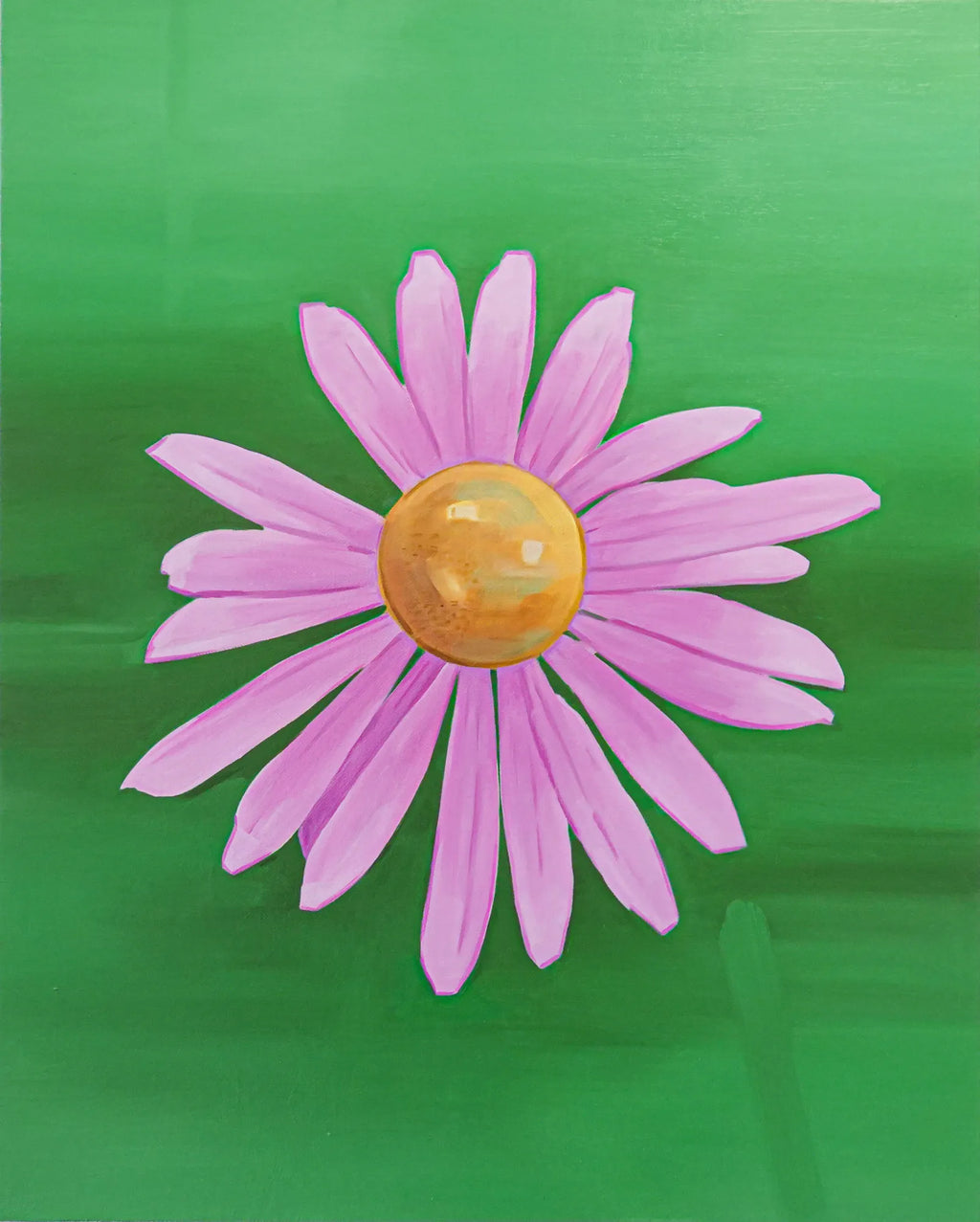 Echinacea