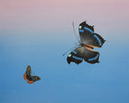 Encounter