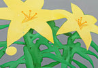 Lilies
