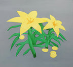 Lilies
