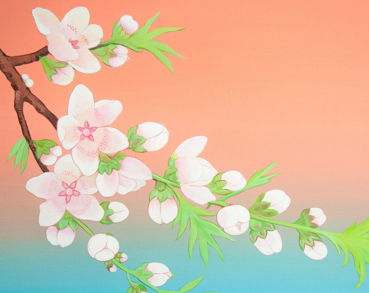 Peach Blossoms